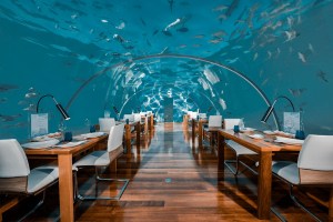 740b9555-150c-4a68-8e27-6f374f0104a4-h-conrad-maldives-rangali-island_f-and-b_ithaa-undersea-restaurant_hero_credit-justin-nicholas_hi-res-2